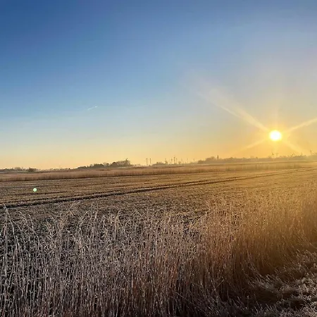 Ferienhaushaelfte Fenja Hébergement de vacances *