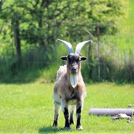 Ferienhaushaelfte Fenja Hébergement de vacances