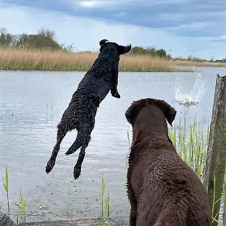 Hébergement de vacances Ferienhaushaelfte Fenja